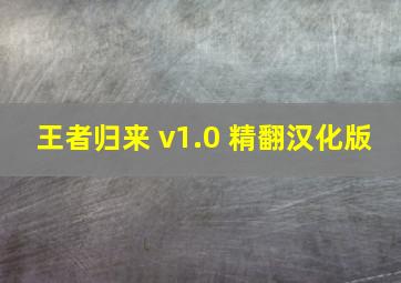 王者归来 v1.0 精翻汉化版